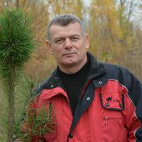 Отзыв от Давид - DTV виза